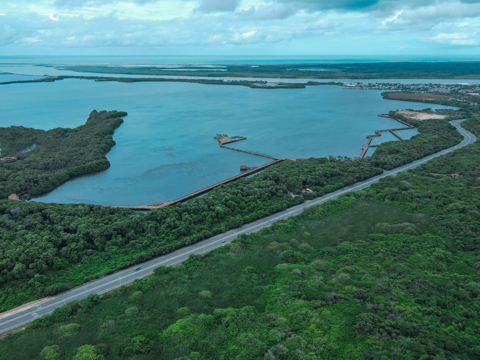 Imagen relacionada con Rutas con historias: Con siembra de mangle, pasos de fauna y viveros, el proyecto Cartagena – Barranquilla contribuye a la conservación ambiental