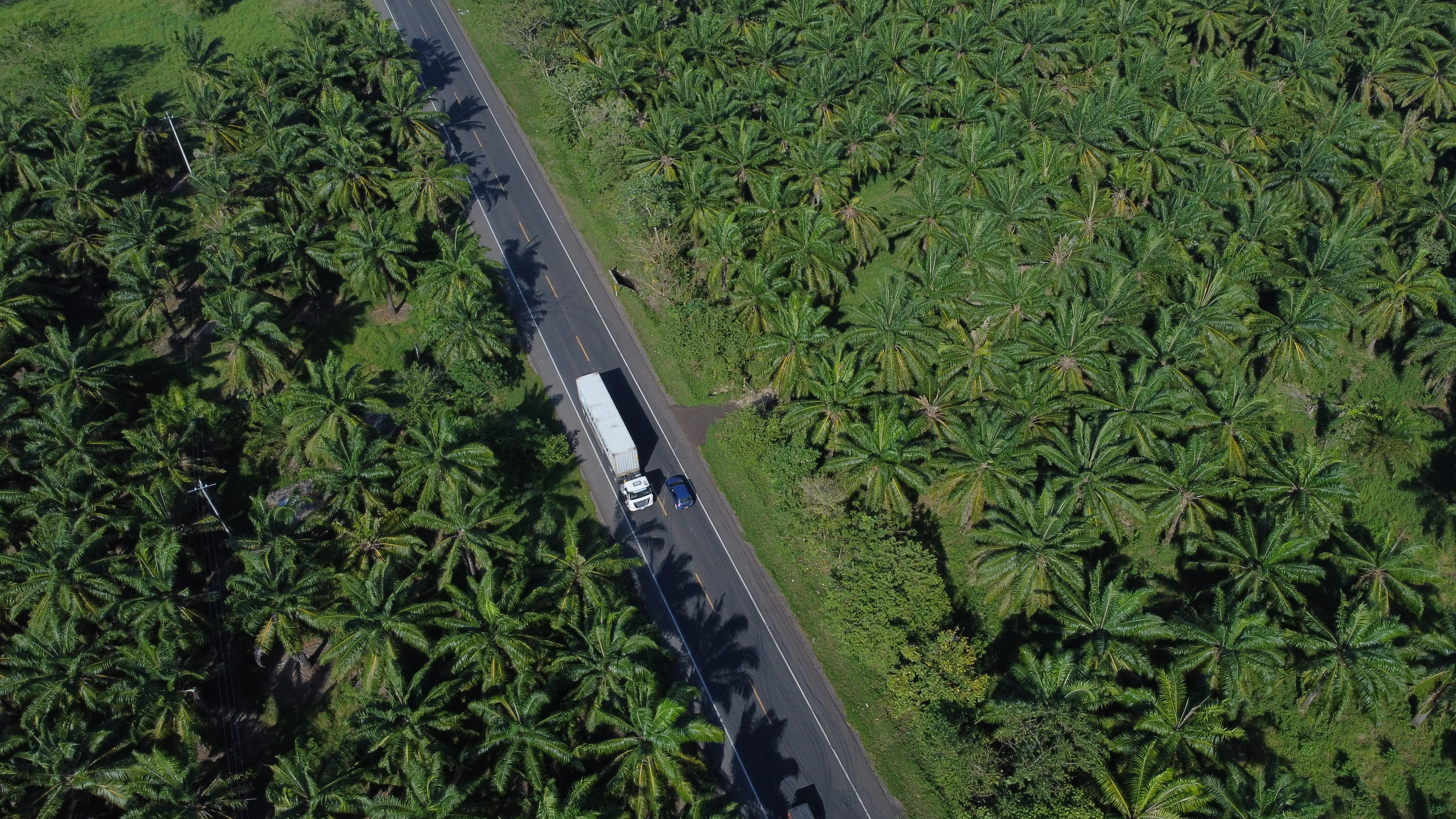 Con hechos seguimos cumpliéndole a los colombianos, ahora con la entrega de 57 km de vía mejorada entre San Onofre (Sucre) y Cruz del Viso (Bolívar) Con hechos seguimos cumpliéndole a los colombianos, ahora con la entrega de 57 km de vía mejorada entre San Onofre (Sucre) y Cruz del Viso (Bolívar)