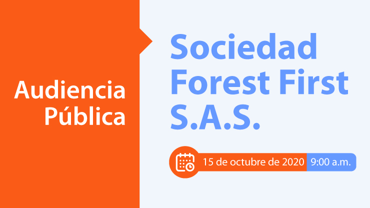 AUDIENCIA PÚBLICA SOCIEDAD FOREST FIRST S.A.S.