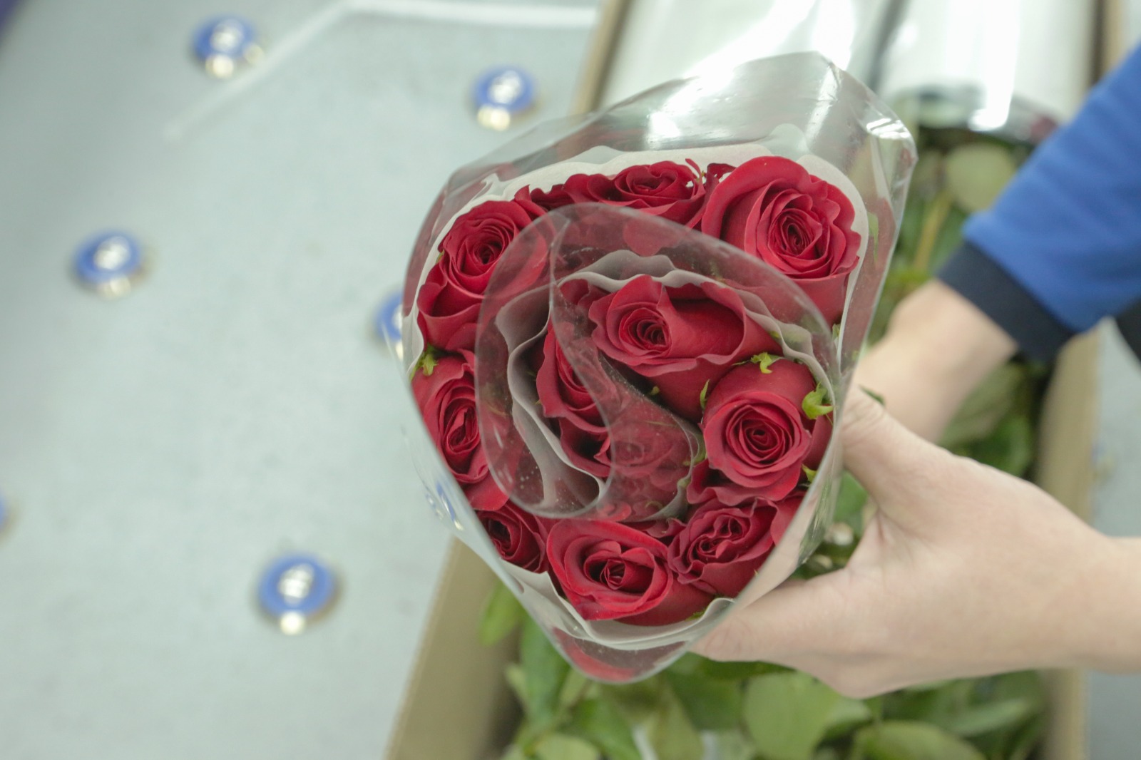 En Estados Unidos celebran San Valentín con flores colombianas que salieron desde el Terminal de Carga de El Dorado En Estados Unidos celebran San Valentín con flores colombianas que salieron desde el Terminal de Carga de El Dorado