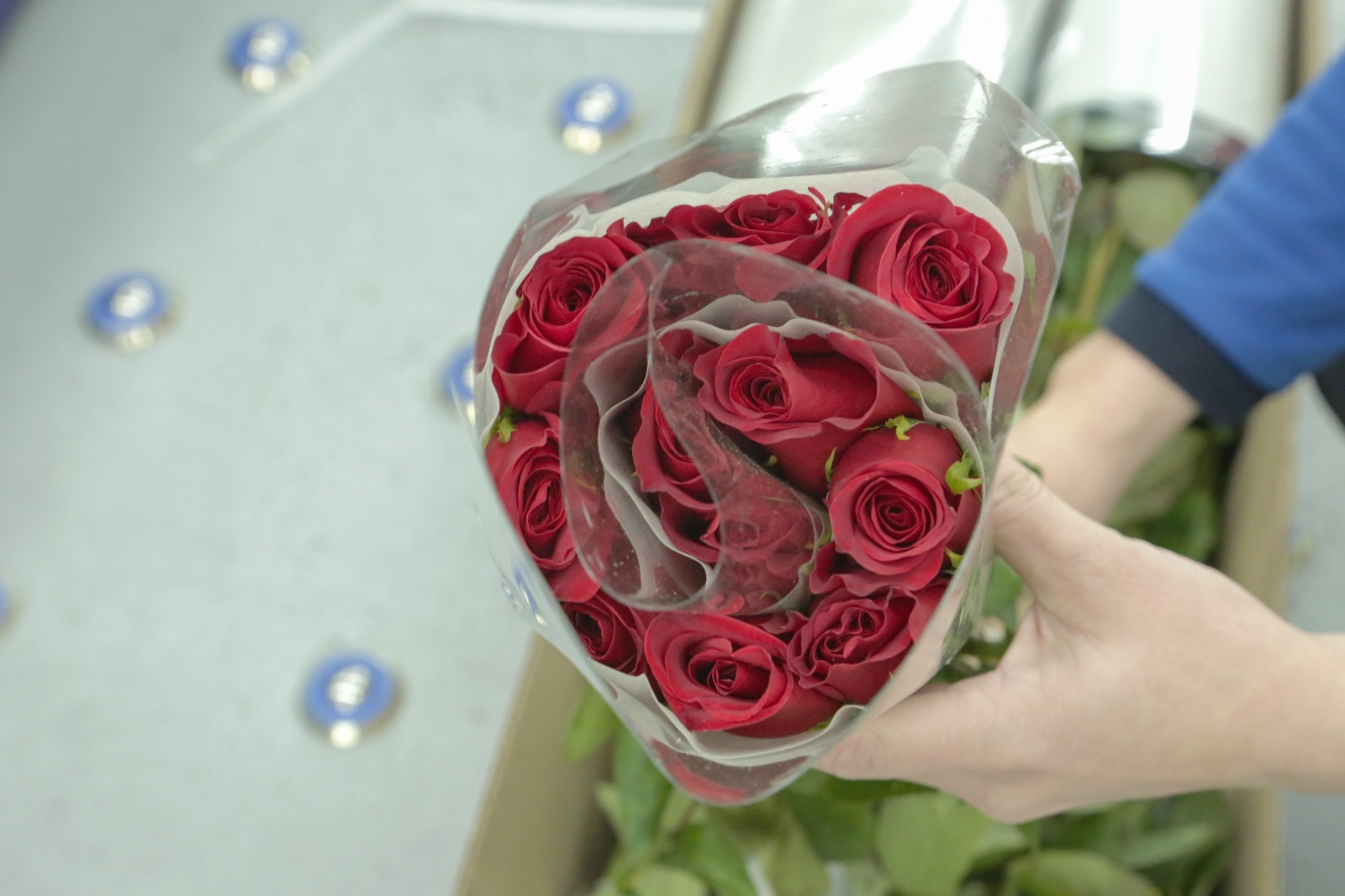 En Estados Unidos celebran San Valentín con flores colombianas que salieron desde el Terminal de Carga de El Dorado 