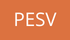 INFOGRAFIA PESV