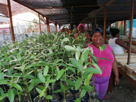 Gobierno nacional ratifica conservación de Ciénaga de La Virgen, con siembra masiva en 34 hectáreas de manglar