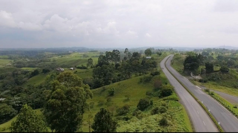 SIEMBRA DE ÁRBOLES Y CUIDADO DEL MEDIO AMBIENTE EN EL PROYECTO ARMENIA – PEREIRA - MANIZALES
