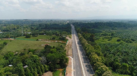 Con siembra masiva de árboles en el proyecto Pacífico 2, el Gobierno avanza en compensaciones ambientales