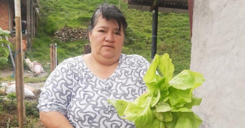 Huertas comunitarias fortalecen alimentación de comunidades en la vía Bogotá –Villavicencio