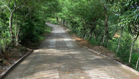 Gobierno Nacional interviene vía terciaria en vereda La Frisolera,  del municipio Donmatías, en Antioquia