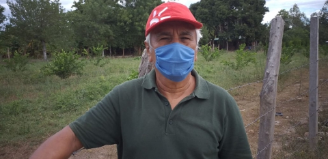 Cultivadores de frutas en el Huila trabajan mejor sus cosechas,  gracias al apoyo del Gobierno Nacional