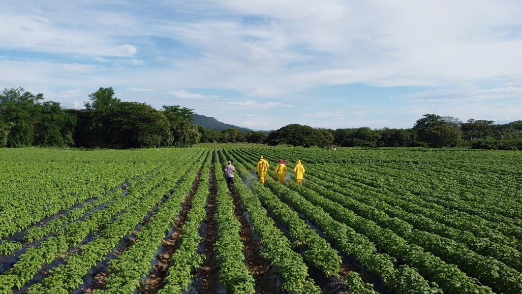 “El proyecto Girardot-Honda-Puerto Salgar trajo progreso para el Tolima, Cundinamarca y Caldas”, Hernando Bernal, microempresario “El proyecto Girardot-Honda-Puerto Salgar trajo progreso para el Tolima, Cundinamarca y Caldas”, Hernando Bernal, microempresario