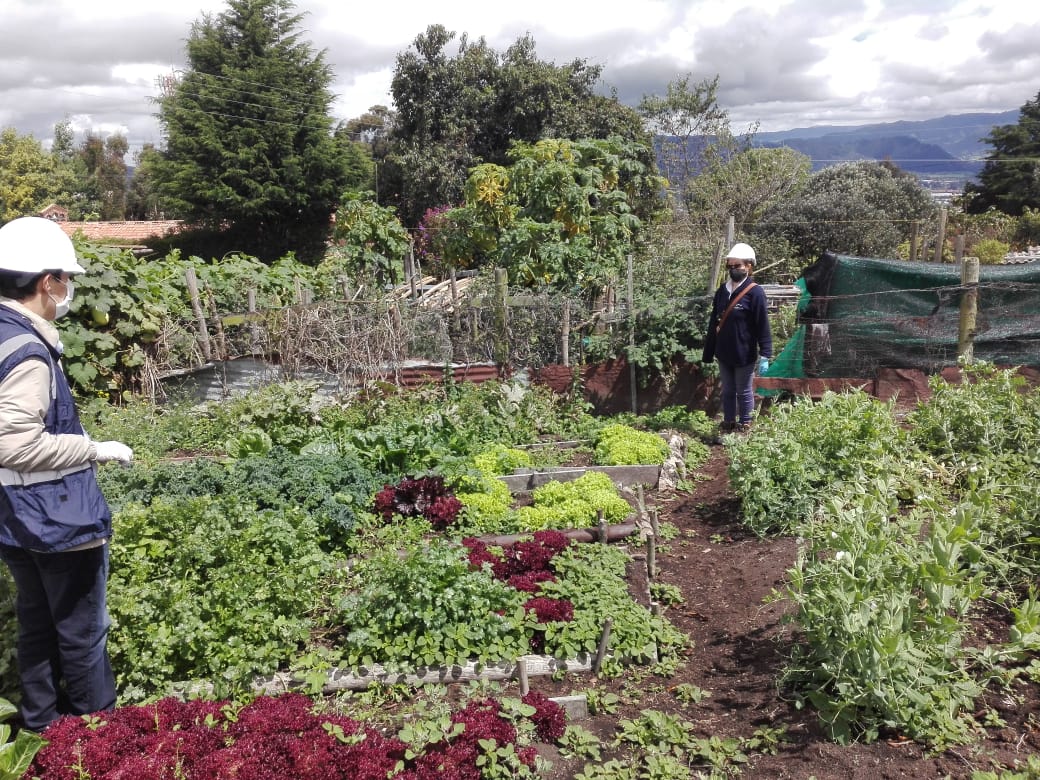 INICIATIVA PRODUCTIVA DE FAMILIAS DE VEREDA DE CHÍA GESTIONARÁ MARCA DE ALIMENTOS