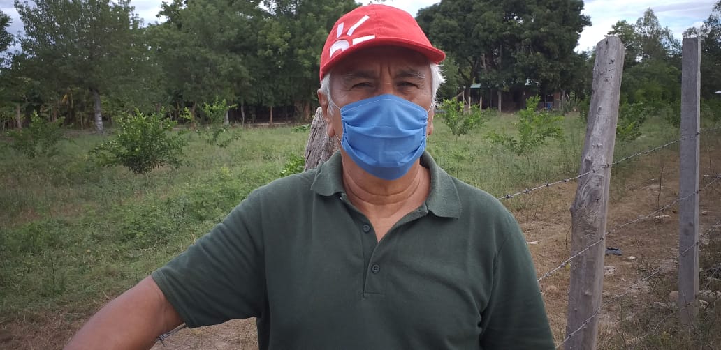Cultivadores de frutas en el Huila trabajan mejor sus cosechas, gracias al apoyo del Gobierno Nacional Cultivadores de frutas en el Huila trabajan mejor sus cosechas, gracias al apoyo del Gobierno Nacional