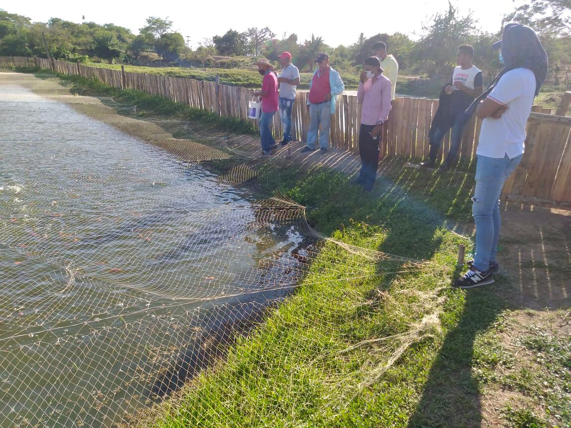 En Plato, Magdalena, 80 familias recibieron capital semilla y capacitación a través del proyecto Ruta del Sol 3