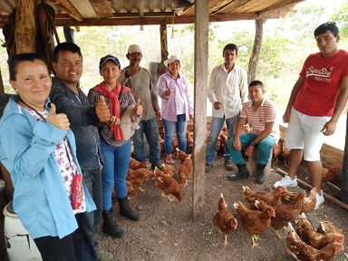 Tres iniciativas productivas que benefician a la comunidad del Alto Magdalena, gracias al corredor vial Honda-Puerto Salgar-Girardot