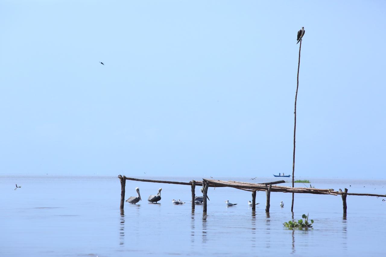 Consulta aquí el borrador de la minuta del contrato de la APP del río Magdalena Consulta aquí el borrador de la minuta del contrato de la APP del río Magdalena