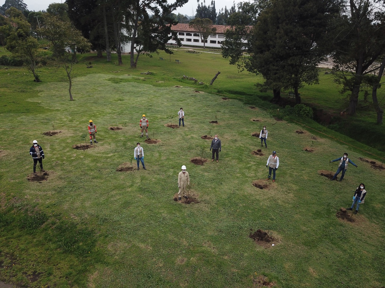 Van 40.000 árboles sembrados en el norte de Bogotá con proyecto de la ANI Van 40.000 árboles sembrados en el norte de Bogotá con proyecto de la ANI